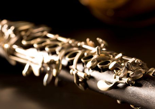 Winter Concerts. 29/01/2019. Botanical Garden. 19.00h